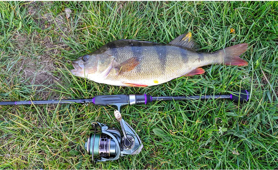 TSURINOYA Jaguar 1000 2000 3000 Long Casting Double Spool Stainless Steel Bearing  Fishing Spinning Bass Reel Saltwater