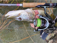 TSURINOYA Jaguar 1000 2000 3000 Long Casting Double Spool Stainless Steel Bearing  Fishing Spinning Bass Reel Saltwater